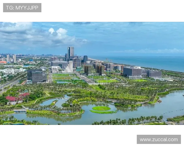 海南自贸港第五届国际武术大赛 7 月 11 日盛大启幕(1)